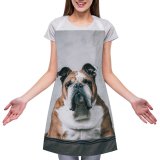 yanfind Custom aprons Adorable Attention Attentive Calm Curious Cute Dog Emotionless Fauna Fluff white white-style1 70×80cm