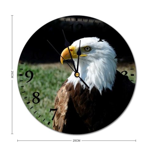 yanfind Fashion PVC Wall Clock Avian Bald Eagle Beak Bird Prey Feather Plumage Wildlife Mute Suitable Kitchen Bedroom Decorate Living Room