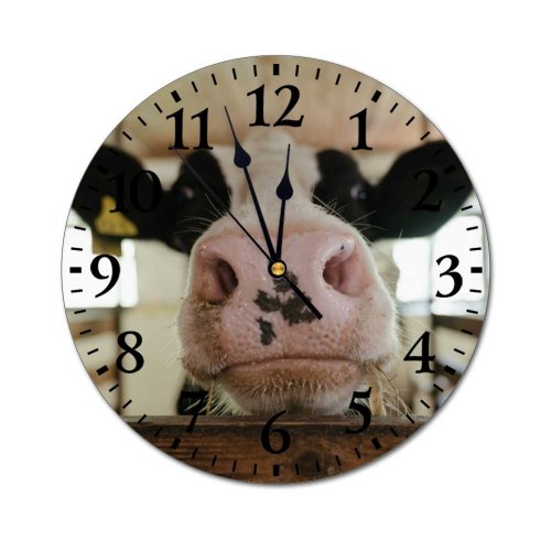 yanfind Fashion PVC Wall Clock Barn Beef Bovine Bull Byre Cattle Cow Cowbarn Cowshed Dairy Farm Farming002 Mute Suitable Kitchen Bedroom Decorate Living Room