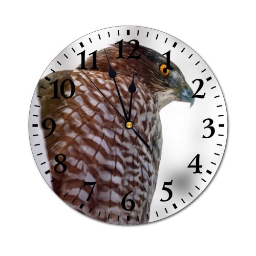 yanfind Fashion PVC Wall Clock Attentive Avian Beak Bird Watching Branch Creature Curious Daylight Ecosystem Fauna Mute Suitable Kitchen Bedroom Decorate Living Room