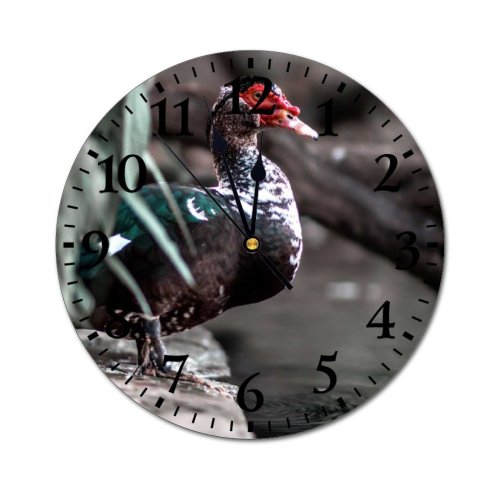 yanfind Fashion PVC Wall Clock Aqua Avian Beak Bird Calm Countryside Creature Daylight Duck Ecosystem Farmland Mute Suitable Kitchen Bedroom Decorate Living Room