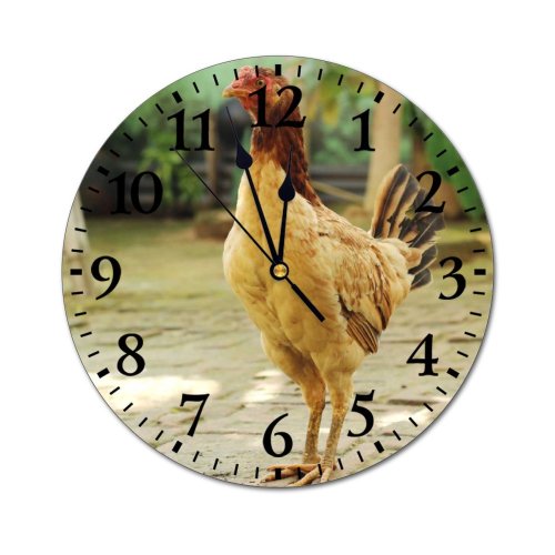 yanfind Fashion PVC Wall Clock Bird Farm Grass Chicken Beak Portrait Hen Outdoors Rural Wildlife Feather Poultry Mute Suitable Kitchen Bedroom Decorate Living Room