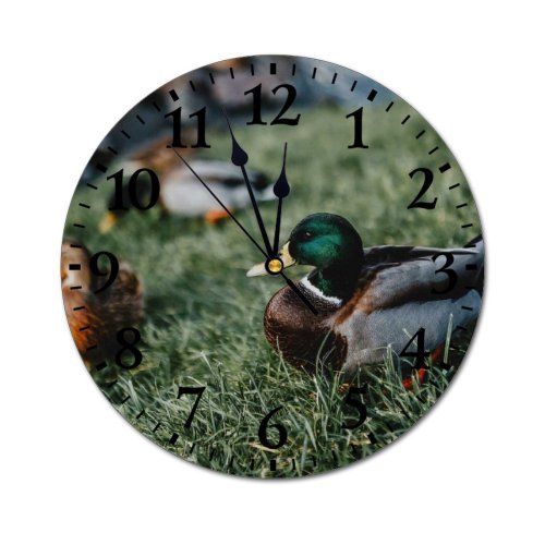 yanfind Fashion PVC Wall Clock Avian Beak Biology Bird Creature Drake Duck Fauna Feather Flock Fowl From Mute Suitable Kitchen Bedroom Decorate Living Room