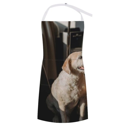 yanfind Custom aprons Adorable Alone Apartment Blurred Calm Carefree Chair Comfort Curious Daylight Dog white white-style1 70×80cm