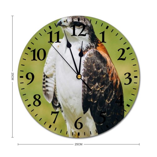 yanfind Fashion PVC Wall Clock Bird Beak Eagle Outdoors Hunter Wildlife Feather Hawk Hunt Raptor Avian Mute Suitable Kitchen Bedroom Decorate Living Room