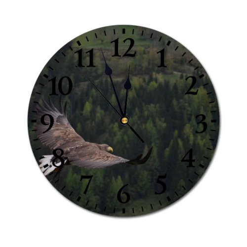 yanfind Fashion PVC Wall Clock Bird Prey Eagle Feathers Flight Fly Flying Freedom Gliding Soaring Wing Mute Suitable Kitchen Bedroom Decorate Living Room