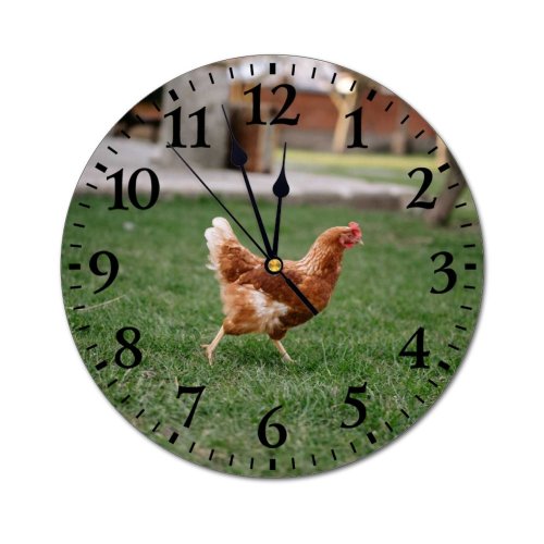 yanfind Fashion PVC Wall Clock Bird Cute Farm Grass Lawn Chicken Beak Portrait Hen Outdoors Rural Feather Mute Suitable Kitchen Bedroom Decorate Living Room