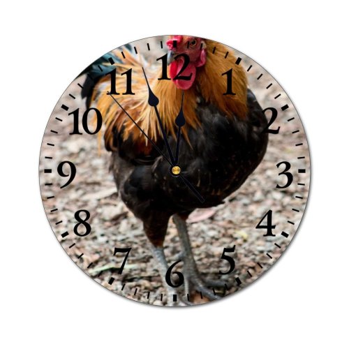 yanfind Fashion PVC Wall Clock Bird Farm Chicken Beak Hen Outdoors Rural Wildlife Feather Poultry Avian Crest Mute Suitable Kitchen Bedroom Decorate Living Room