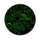 yanfind Fashion PVC Wall Clock Art Texture Abstract Luck Leaf Design Flora Growth Clover Lucky Saint Mute Suitable Kitchen Bedroom Decorate Living Room