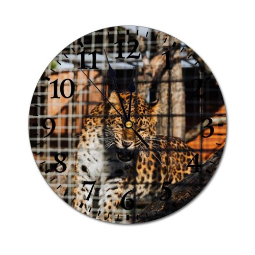 yanfind Fashion PVC Wall Clock Big Fur Cage Cat Outdoors Wild Tropical Leopard Wildlife Danger Mute Suitable Kitchen Bedroom Decorate Living Room