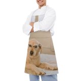 yanfind Custom aprons Accessory Adorable Bed Bedroom Calm Comfort Cozy Creature Cute Dog white white-style1 70×80cm
