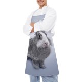 yanfind Custom aprons Adorable Cute Easter Fluffy Fur Grey Light Little Pet Portrait Rabbit white white-style1 70×80cm