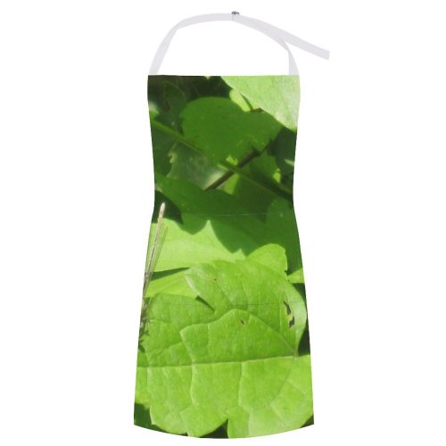 yanfind Custom aprons Natural Insect Fly Flora Fauna Forest Tree Leafs Outdoors Wildlife Resting white white-style1 70×80cm
