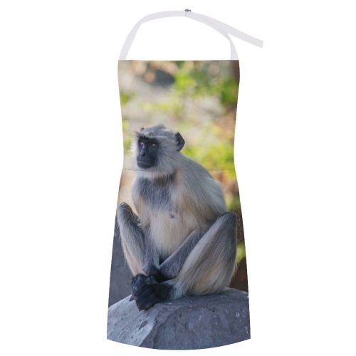 yanfind Custom aprons Adorable Biology Blurred Botany Conserve Creature Ecology Ecosystem Fauna Flora Forest white white-style1 70×80cm