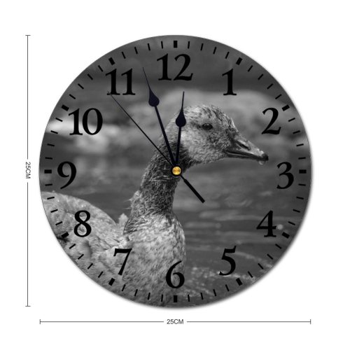 yanfind Fashion PVC Wall Clock Aqua Avian Beak Biology Bird Watching Blurred Bw Creature Duck Ecosystem Fauna Mute Suitable Kitchen Bedroom Decorate Living Room