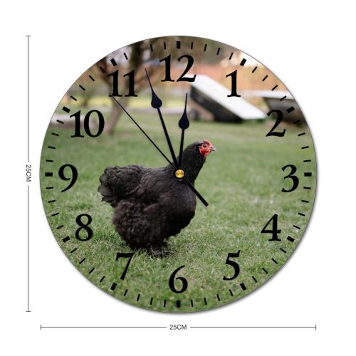 yanfind Fashion PVC Wall Clock Bird Agriculture Farm Grass Lawn Chicken Beak Hen Outdoors Rural Feather Poultry Mute Suitable Kitchen Bedroom Decorate Living Room