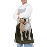 yanfind Custom aprons Adorable Portrait Canidae Chair Cute Dog Face Human's Friend Camera001 white white-style1 70×80cm