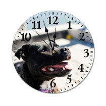 yanfind Fashion PVC Wall Clock Adorable Alone Attention Blurred Calm Creature Cute Daytime Dog Expressive Friend Mute Suitable Kitchen Bedroom Decorate Living Room