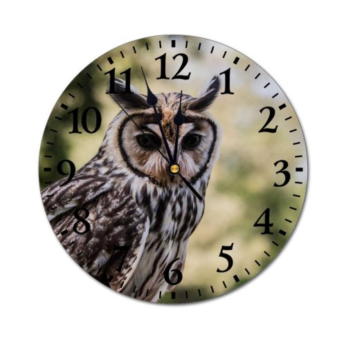 yanfind Fashion PVC Wall Clock Bird Cute Beak Eagle Portrait Outdoors Wild Wildlife Staring Mute Suitable Kitchen Bedroom Decorate Living Room
