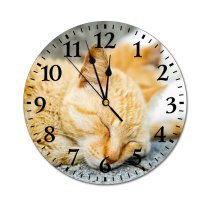 yanfind Fashion PVC Wall Clock Adorable Asleep Blurred Calm Carnivore Cat Charming Chordate Cute Daytime Enjoy Mute Suitable Kitchen Bedroom Decorate Living Room