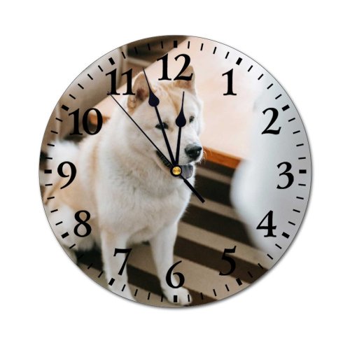 yanfind Fashion PVC Wall Clock Adorable Akita Inu Anonymous Apartment Armchair Home Carpet Creature Crop Mute Suitable Kitchen Bedroom Decorate Living Room