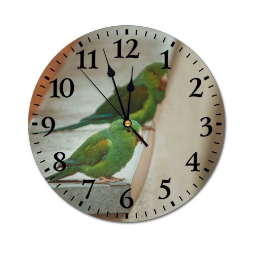 yanfind Fashion PVC Wall Clock Beak Bird Blurred Building Calm Colorful Construction Daylight Daytime Detail Mute Suitable Kitchen Bedroom Decorate Living Room