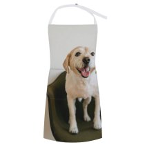 yanfind Custom aprons Adorable Portrait Canidae Chair Cute Dog Face Human's Friend Camera001 white white-style1 70×80cm