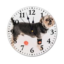 yanfind Fashion PVC Wall Clock Active Adorable Ball Calm Care Creature Curious Cute Dog Fauna Fluff Mute Suitable Kitchen Bedroom Decorate Living Room