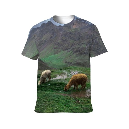 yanfind Adult Full Print T-shirts (men And Women) Summer Hill Agriculture Farm Grass Travel Rock Outdoors Valley Cow Sheep