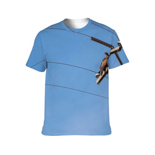 yanfind Adult Full Print T-shirts (men And Women) Avian Beak Bird Sky Buteo Rufofuscus Calm Carnivore Chill Contemplate Creature Daylight