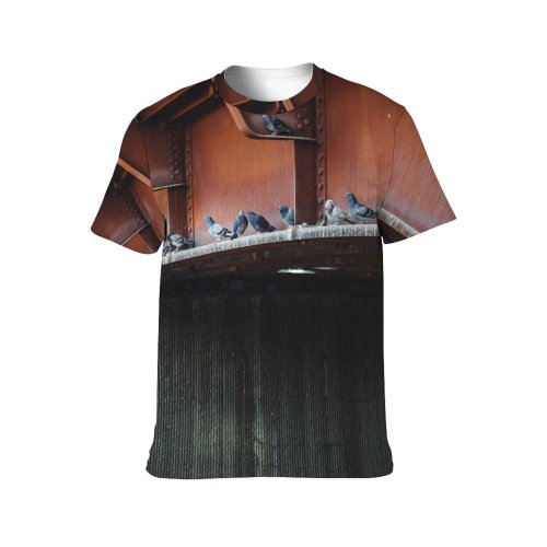 yanfind Adult Full Print T-shirts (men And Women) Avian Beak Biology Bird Countryside Creature Daytime Dovecote Ecosystem Enclosure Farm