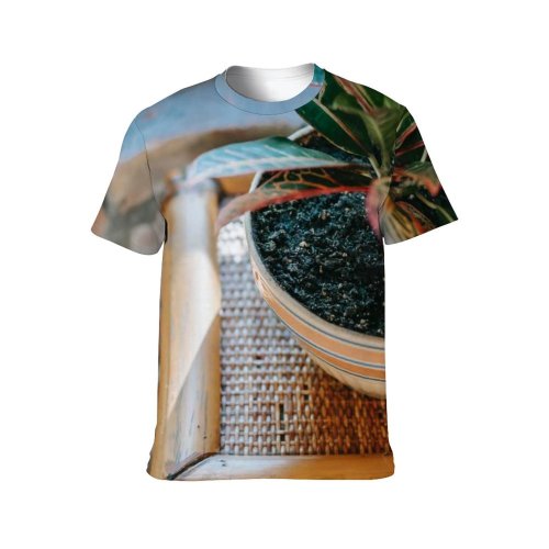 yanfind Adult Full Print T-shirts (men And Women) Apartment Botany Brick Ceramic Cozy Cupboard Daylight Decor Decoration Design Drawer Ficus