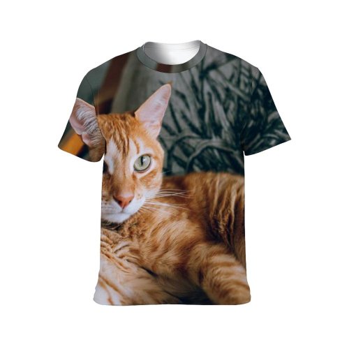 yanfind Adult Full Print T-shirts (men And Women) Cat Cats Pet Portrait Relaxation Resting Tabby