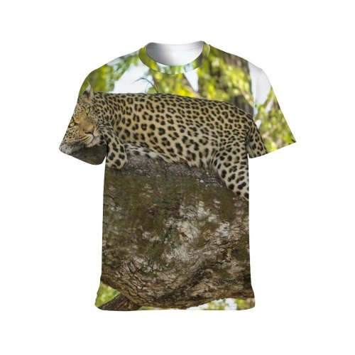 yanfind Adult Full Print T-shirts (men And Women) Big Cat Branch Leopard Safari Tree Wild Wilderness Wildlife