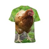 yanfind Adult Full Print T-shirts (men And Women) Bird Grass Beak Hen Outdoors Rural Wildlife Feather Poultry Crest Farmyard Cockerel