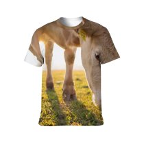 yanfind Adult Full Print T-shirts (men And Women) Curiosity Pastoral Beef Cattle