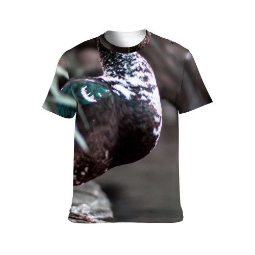 yanfind Adult Full Print T-shirts (men And Women) Aqua Avian Beak Bird Calm Countryside Creature Daylight Duck Ecosystem Farmland