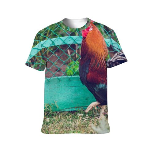 yanfind Adult Full Print T-shirts (men And Women) Bird Farm Grass Beak Fence Hen Outdoors Beautiful Feather Poultry Avian Crest