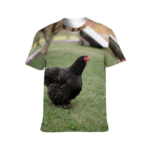yanfind Adult Full Print T-shirts (men And Women) Bird Agriculture Farm Grass Lawn Chicken Beak Hen Outdoors Rural Feather Poultry