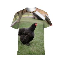 yanfind Adult Full Print T-shirts (men And Women) Bird Agriculture Farm Grass Lawn Chicken Beak Hen Outdoors Rural Feather Poultry
