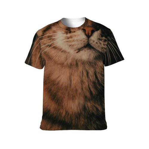 yanfind Adult Full Print T-shirts (men And Women) Pet Cute Fur Portrait Kitten Cat Sleep Staring Tabby Stripe