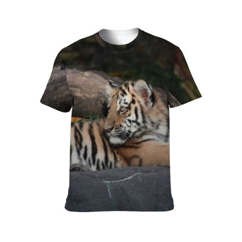 yanfind Adult Full Print T-shirts (men And Women) Fur Cat Hunter Jungle Wildlife Danger Cub Stripe Panthera