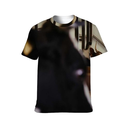 yanfind Adult Full Print T-shirts (men And Women) Barn Beef Bovine Bull Byre Cattle Cow Cowbarn Cowshed Dairy Farm Farming