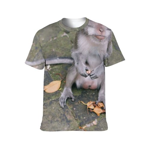 yanfind Adult Full Print T-shirts (men And Women) Street Cute Grass Park Grey Tree Young Monkey Cat Outdoors Wild Walk