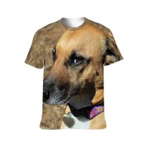 yanfind Adult Full Print T-shirts (men And Women) Cute Dog Pet Puppy Rhodesian Ridgeback Training