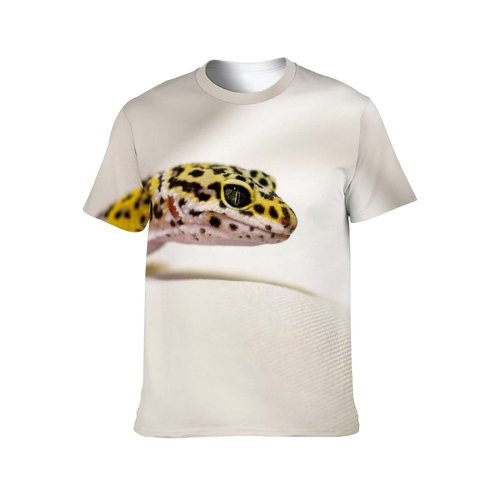 yanfind Adult Full Print T-shirts (men And Women) Pet Portrait Studio Wildlife Little Scale Biology Skin Zoology Flying
