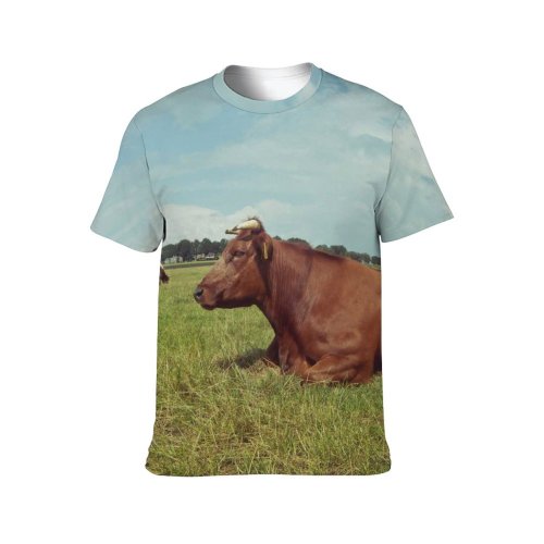 yanfind Adult Full Print T-shirts (men And Women) Landscape Field Countryside Agriculture Farm Grass Grassland Milk Rural Farmland Pasture Cattle