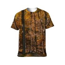 yanfind Adult Full Print T-shirts (men And Women) Autumn Branch Building Cabin Colorful Cottage Countryside Deciduous Fall Flora Foliage Forest
