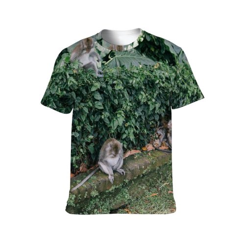 yanfind Adult Full Print T-shirts (men And Women) Wood Garden Park Leaf Tree Monkey Outdoors Jungle Wildlife Primate Rainforest