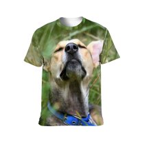 yanfind Adult Full Print T-shirts (men And Women) Dog Outdoors Pet